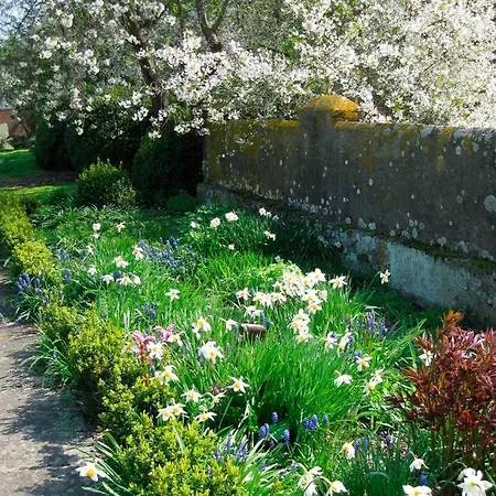Sonnenblume Nr1 아파트 Ostermarkelsdorf